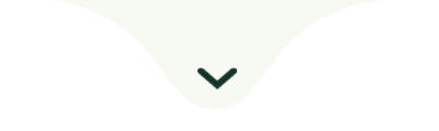 Imagem Website Viapiana health